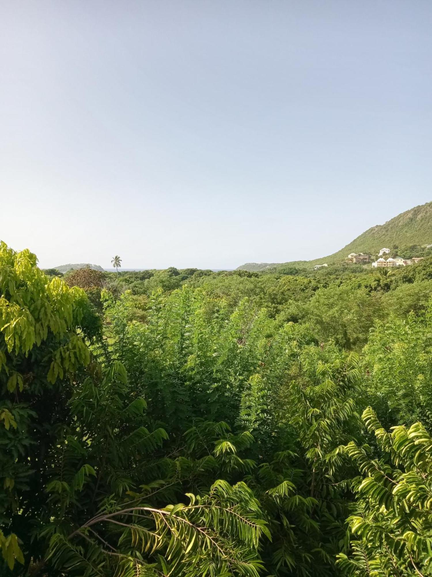 Apartment Unforgetable Gardens Falmouth Harbour Екстер'єр фото