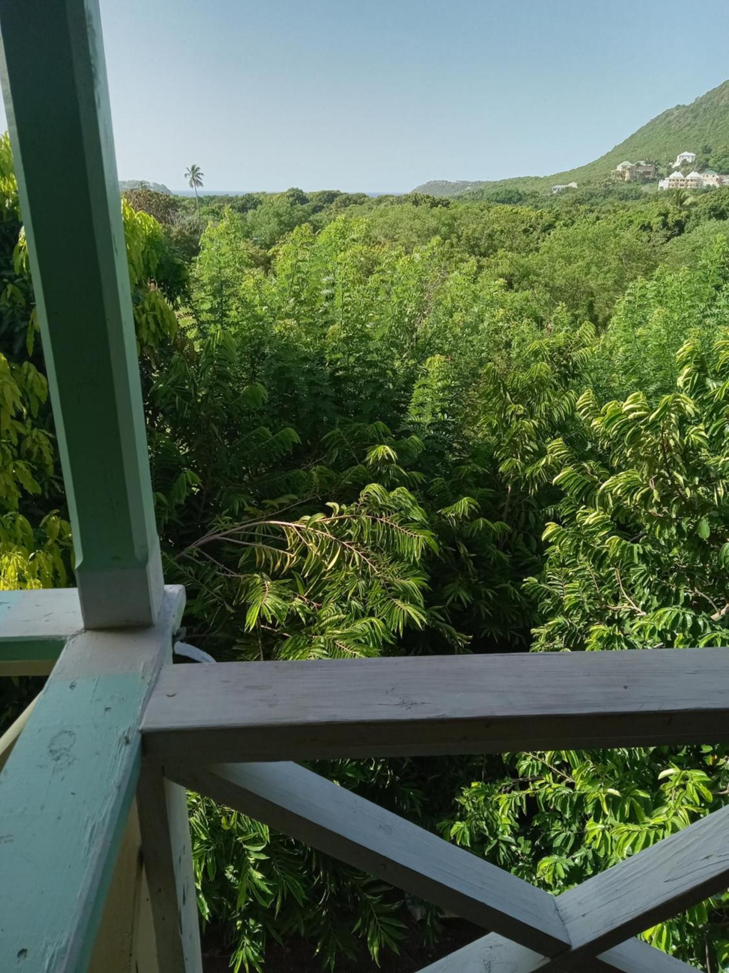 Apartment Unforgetable Gardens Falmouth Harbour Екстер'єр фото