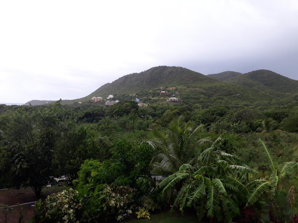 Apartment Unforgetable Gardens Falmouth Harbour Екстер'єр фото